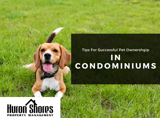 Tips for Successful Pet Ownership in Condominiums