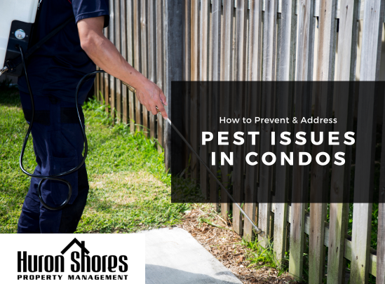 How to Prevent and Address Pest Issues in Condominiums